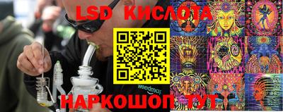 крисы Аргун
