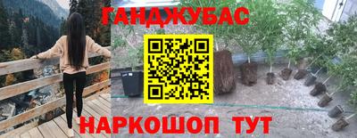 крисы Аргун