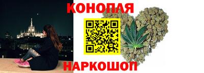 крисы Аргун