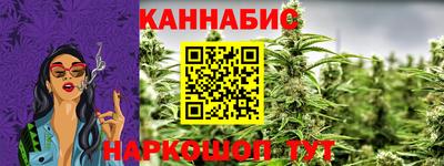крисы Аргун
