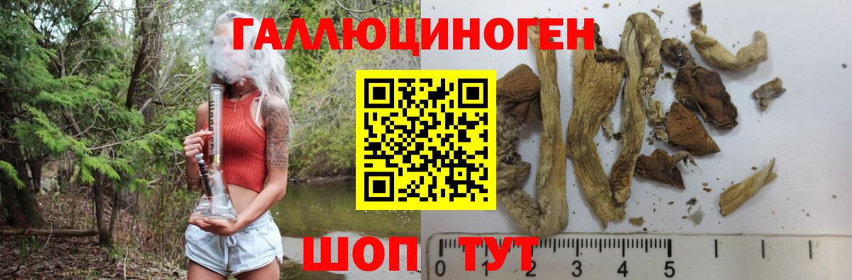 Балаково  Галлюциногенные грибы Psilocybine cubensis  Вход с VPN 